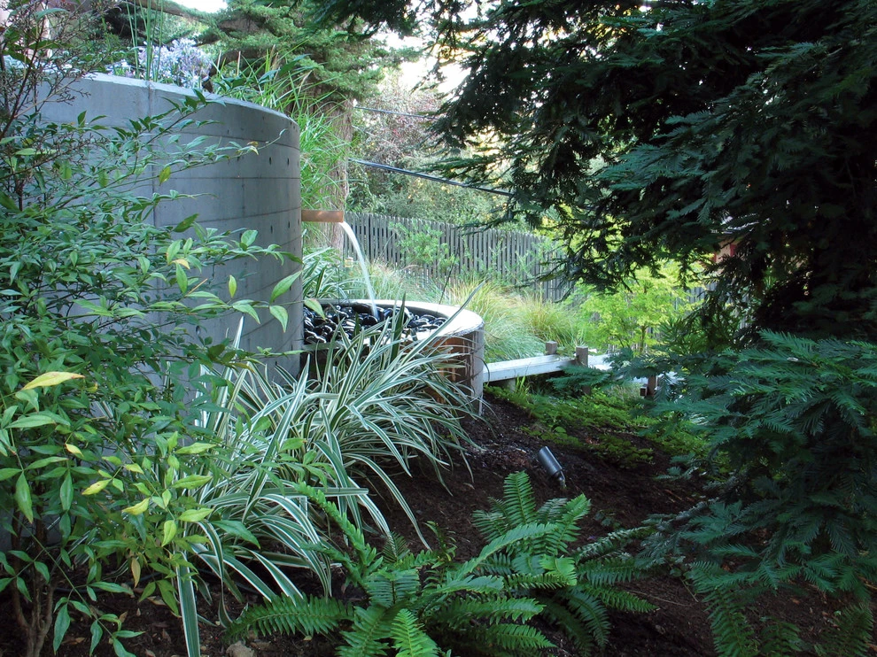 Water Garden - Oakland, CA by Lazar Landscape Design And Construction - Photo 5