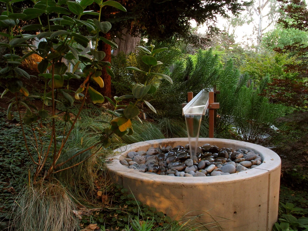 Water Garden - Oakland, CA by Lazar Landscape Design And Construction - Photo 6