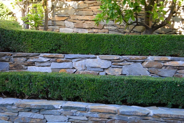 Formal Pool Garden by Lazar Landscape Design And Construction - Photo 7