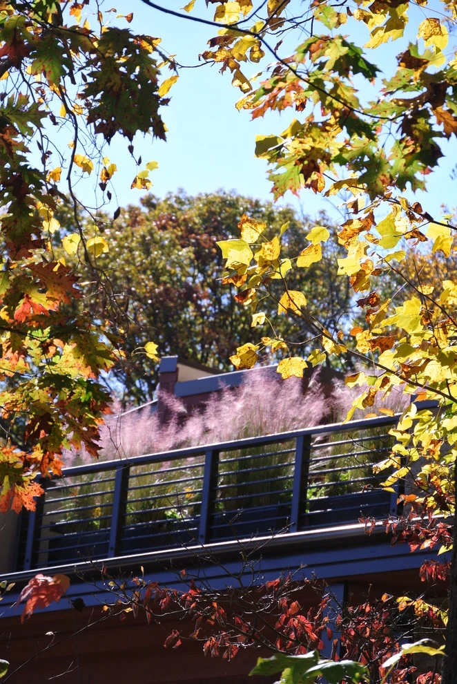 Containers by Le Sueur Landscape Design - Photo 5