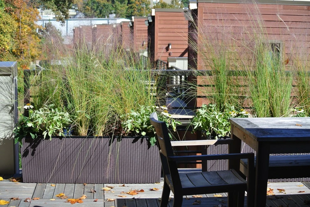 Containers by Le Sueur Landscape Design - Photo 4