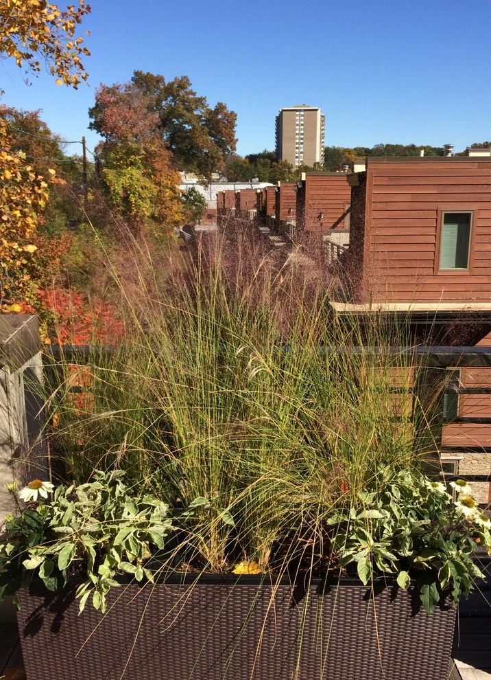 Containers by Le Sueur Landscape Design - Photo 3