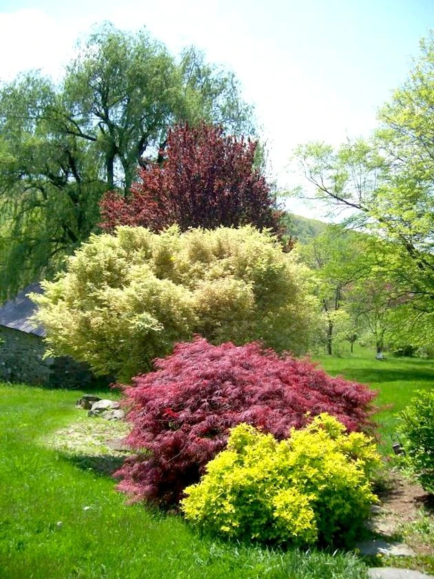 Le Sueur Landscape Design - Photo 13