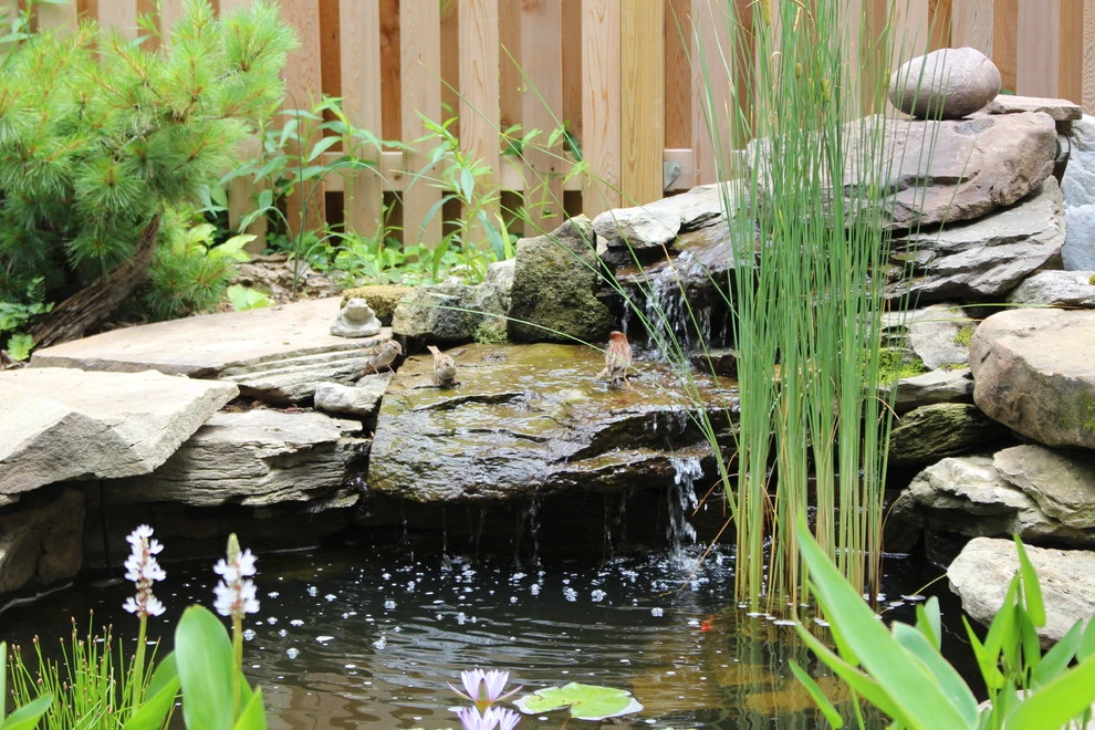 Le Sueur Landscape Design - Photo 6