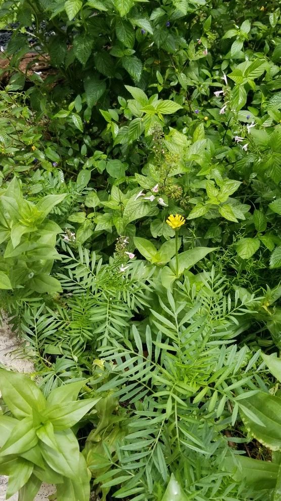 3o5 Gardens - Photo 10