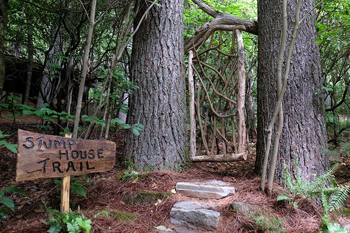 Lift Environmental Design - Photo 6