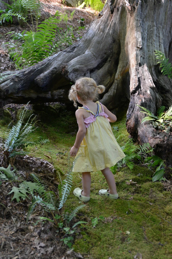 Secret Garden by Lift Environmental Design - Photo 13