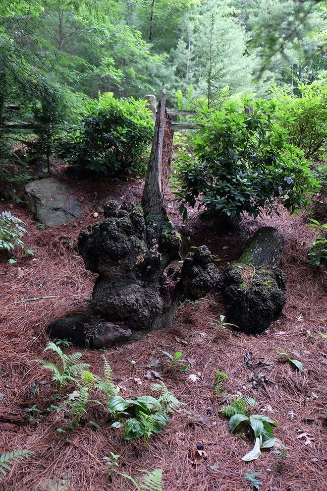 Secret Garden by Lift Environmental Design - Photo 12