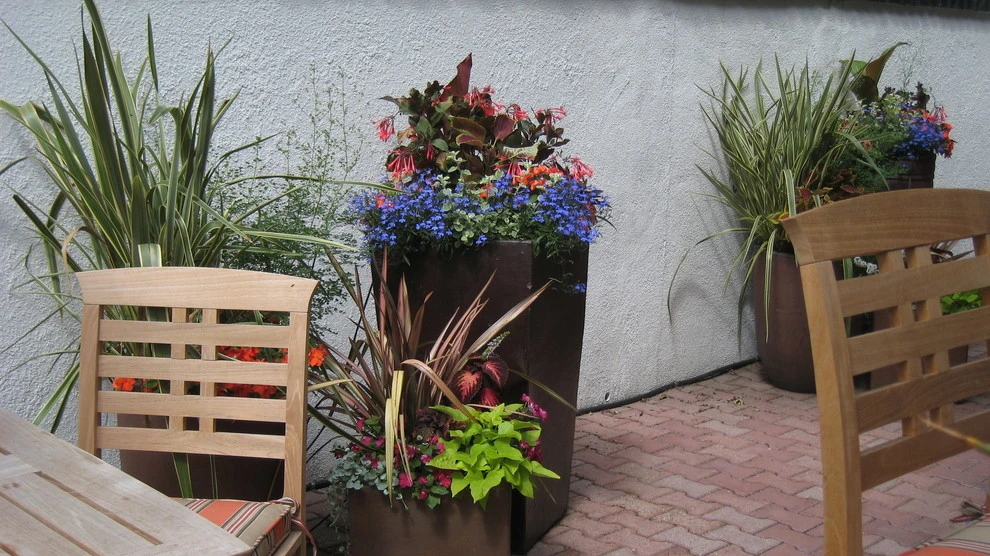 Container Planting by Lush Custom Gardening Company - Photo 2