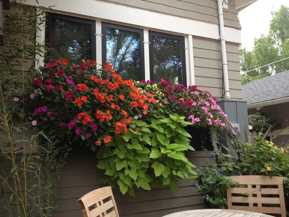Container Planting by Lush Custom Gardening Company - Photo 5