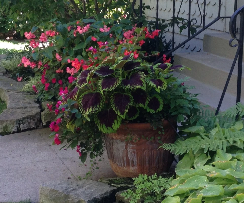 Container Planting by Lush Custom Gardening Company - Photo 3