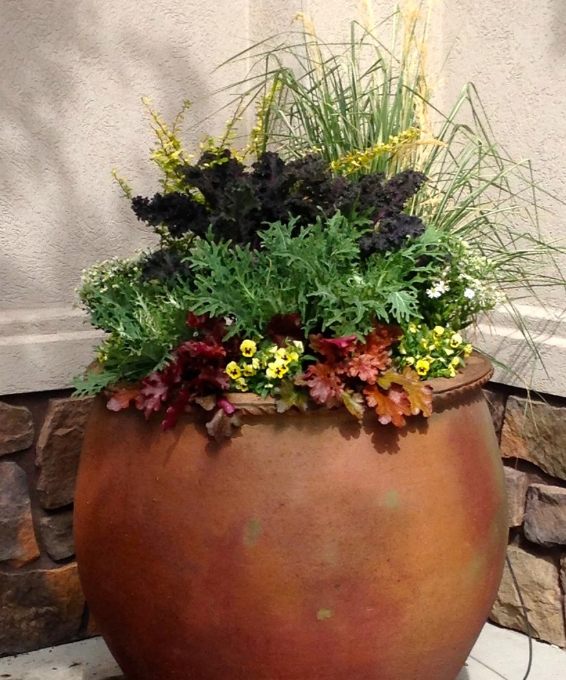 Container Planting by Lush Custom Gardening Company - Photo 9