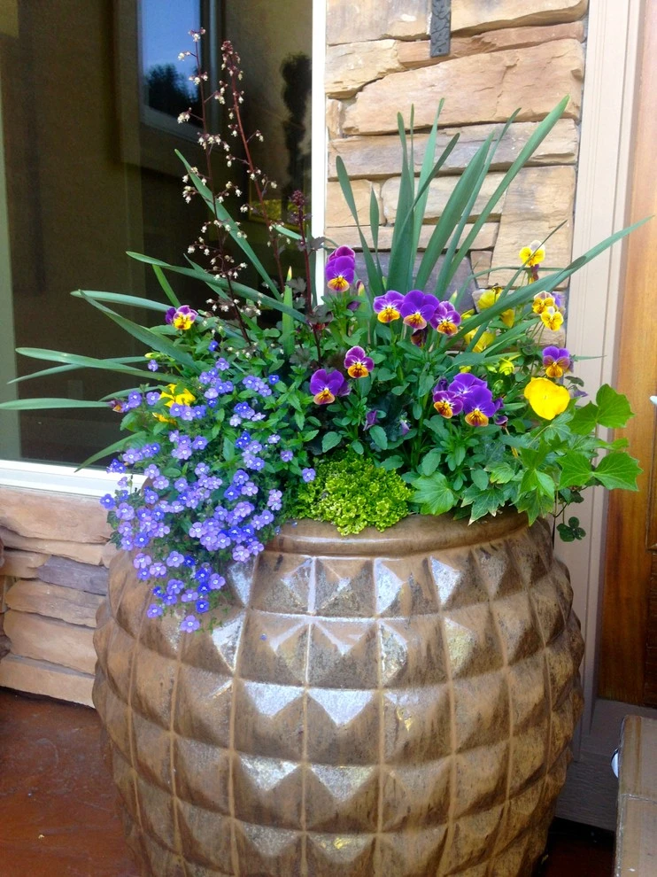 Container Planting by Lush Custom Gardening Company - Photo 17