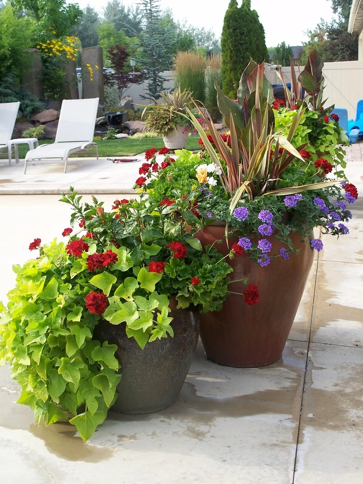 Container Planting by Lush Custom Gardening Company - Photo 13