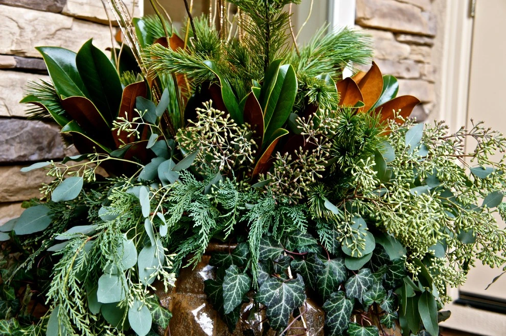 Container Planting by Lush Custom Gardening Company - Photo 14