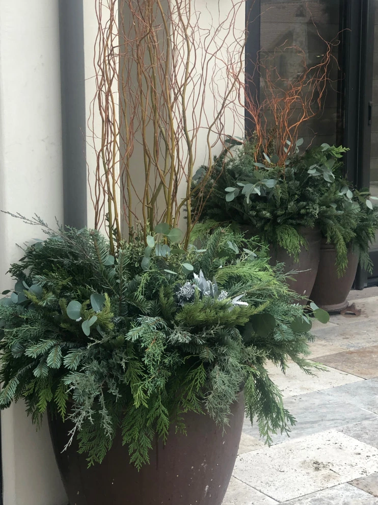 Container Planting by Lush Custom Gardening Company - Photo 18