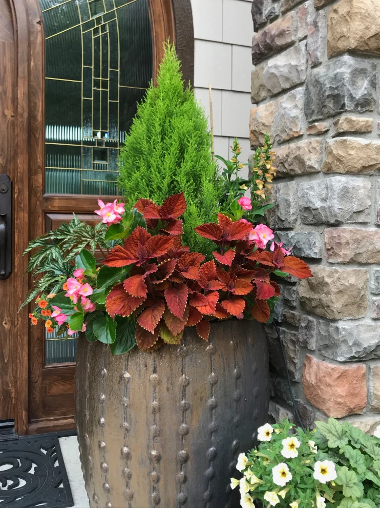 Container Planting by Lush Custom Gardening Company - Photo 7