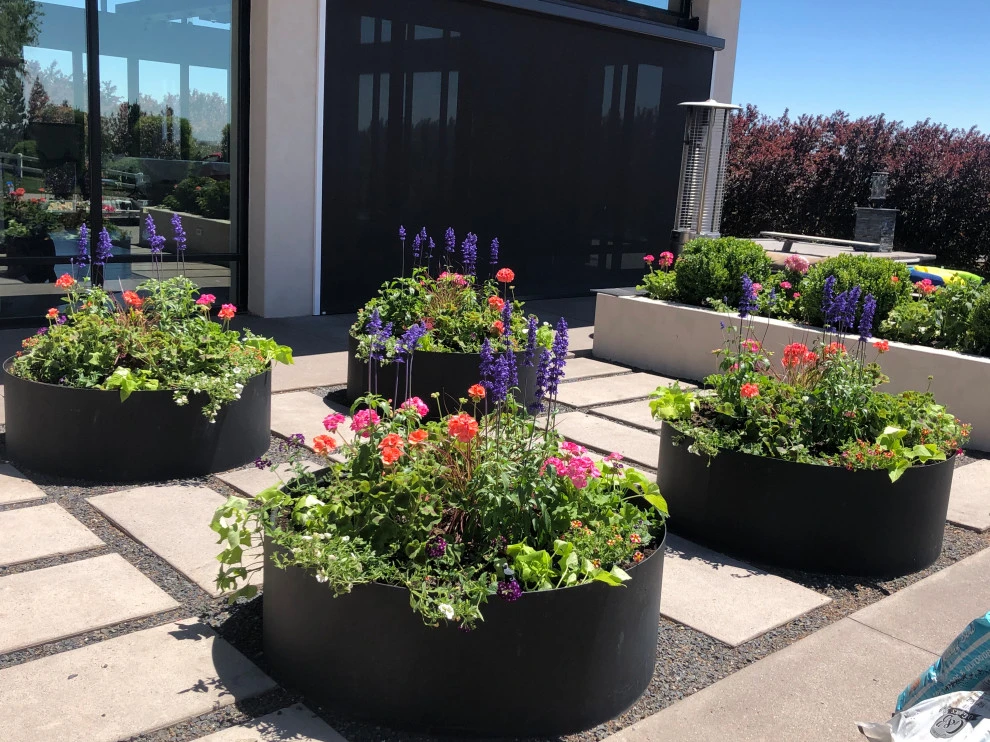 Container Planting by Lush Custom Gardening Company - Photo 22