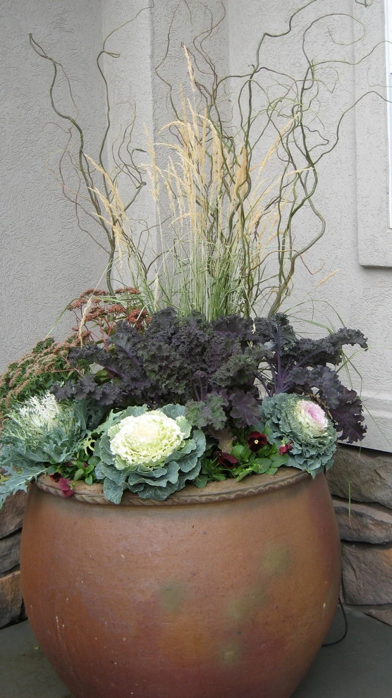 Container Planting by Lush Custom Gardening Company - Photo 8