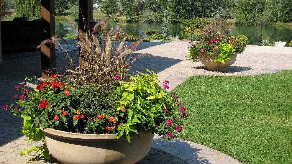 Container Planting by Lush Custom Gardening Company - Photo 6