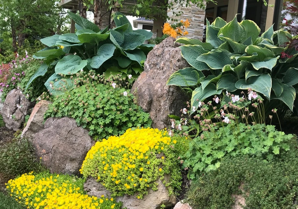 Perennial Bed Maintenance by Lush Custom Gardening Company - Photo 3