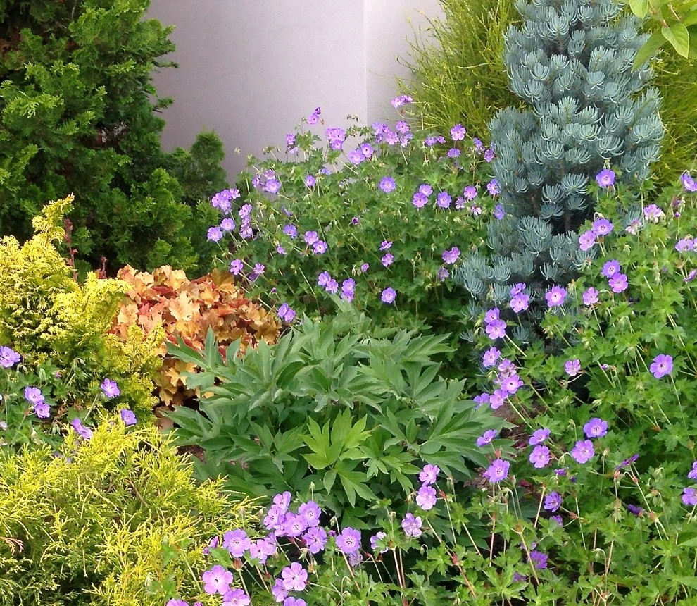 Perennial Bed Maintenance by Lush Custom Gardening Company - Photo 9