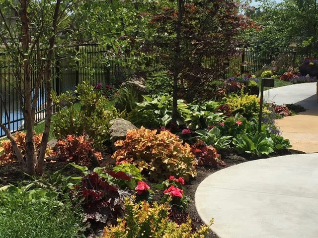 Eagle, New Landscape Design by Lush Custom Gardening Company - Photo 9