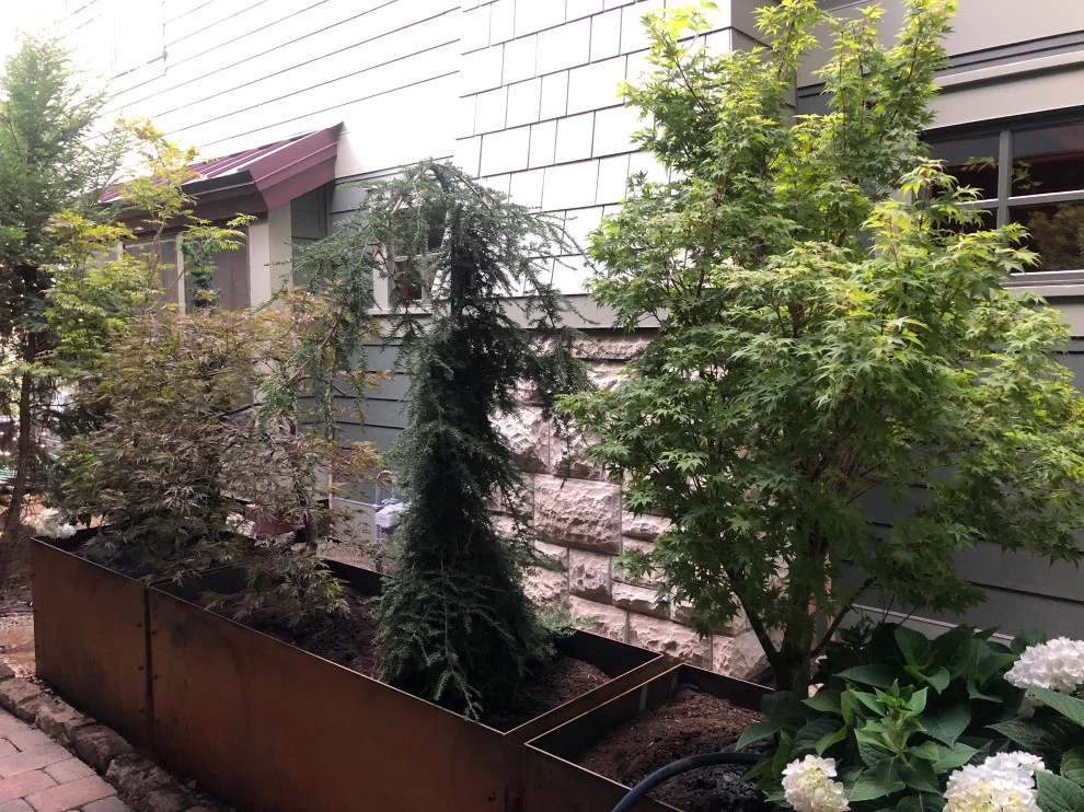 Patio Space Re-Do by Lush Custom Gardening Company - Photo 3