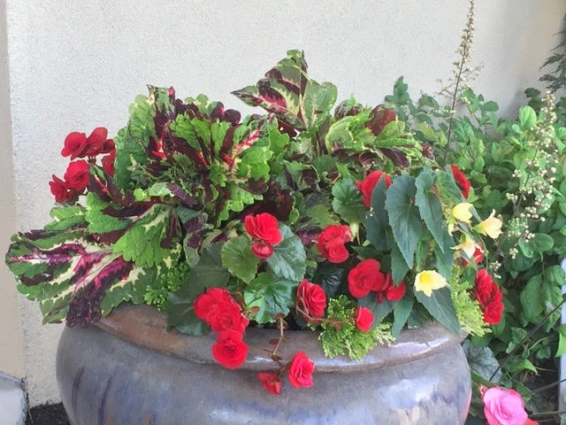 Eagle, New Landscape Design by Lush Custom Gardening Company - Photo 7