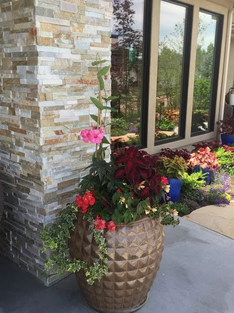 Eagle, New Landscape Design by Lush Custom Gardening Company - Photo 2