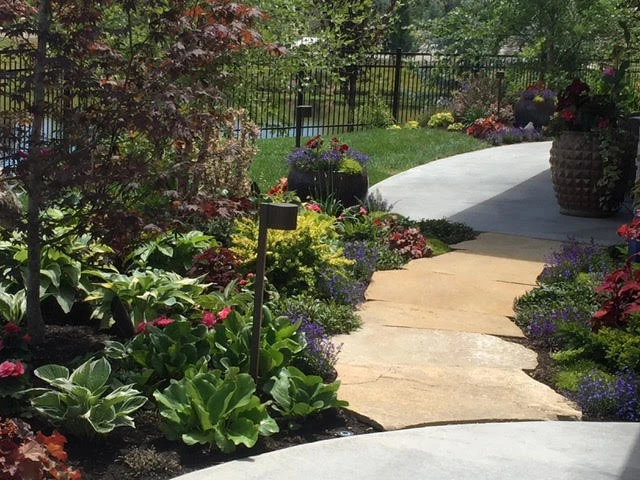 Eagle, New Landscape Design by Lush Custom Gardening Company - Photo 6