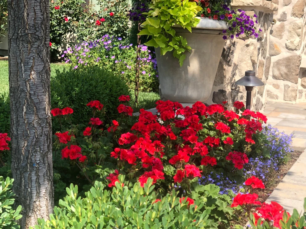 Annual Planting Projects by Lush Custom Gardening Company - Photo 3