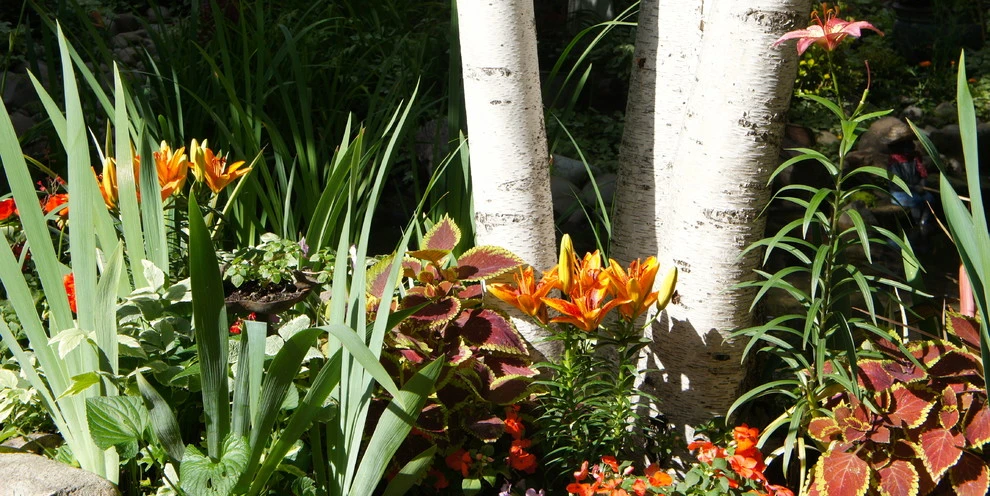 2013 Garden Tour Home by Lush Custom Gardening Company - Photo 9