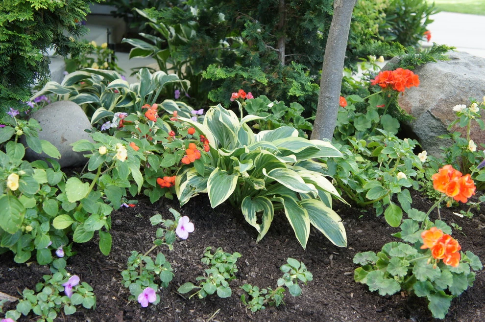 2013 Garden Tour Home by Lush Custom Gardening Company - Photo 5