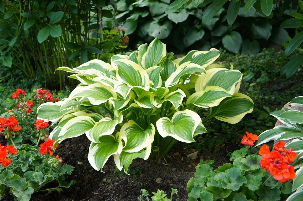 2013 Garden Tour Home by Lush Custom Gardening Company - Photo 2