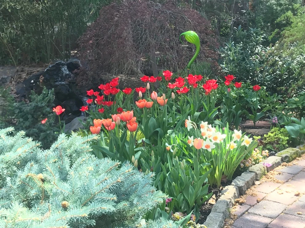 Best of Spring Color by Lush Custom Gardening Company - Photo 14