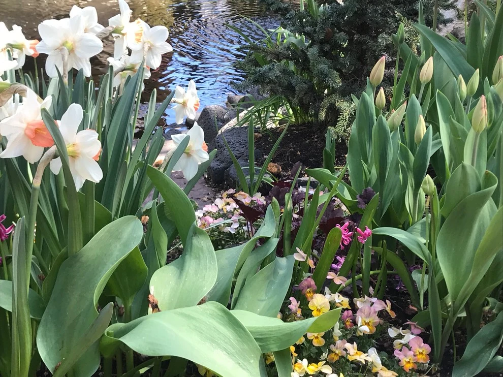 Lush Custom Gardening Company - Photo 14