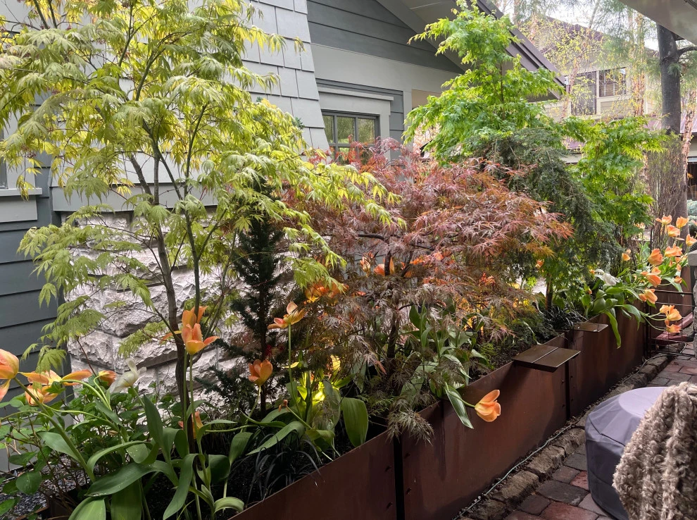 Best of Spring Color by Lush Custom Gardening Company - Photo 7