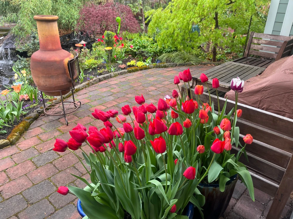 Best of Spring Color by Lush Custom Gardening Company - Photo 10