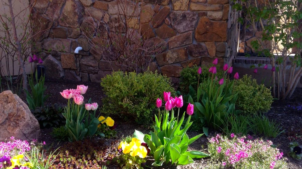 Best of Spring Color by Lush Custom Gardening Company - Photo 8