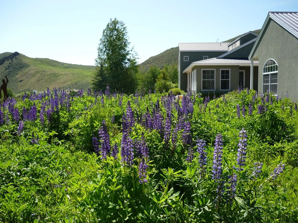 Hailey Residence by Lyon Landscape Architects - Sun Valley - Photo 2