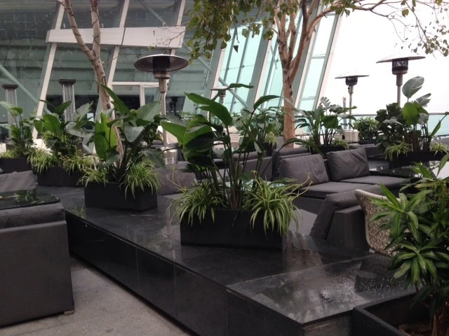 HONG KONG TERRACE GARDENS by Matthew Hannan Design - Photo 2