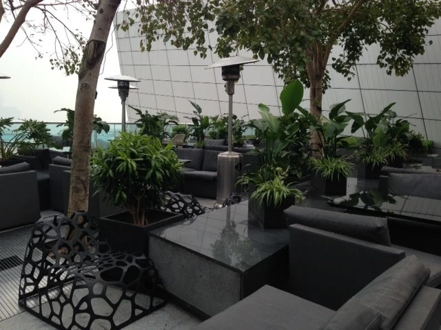 HONG KONG TERRACE GARDENS by Matthew Hannan Design - Photo 3