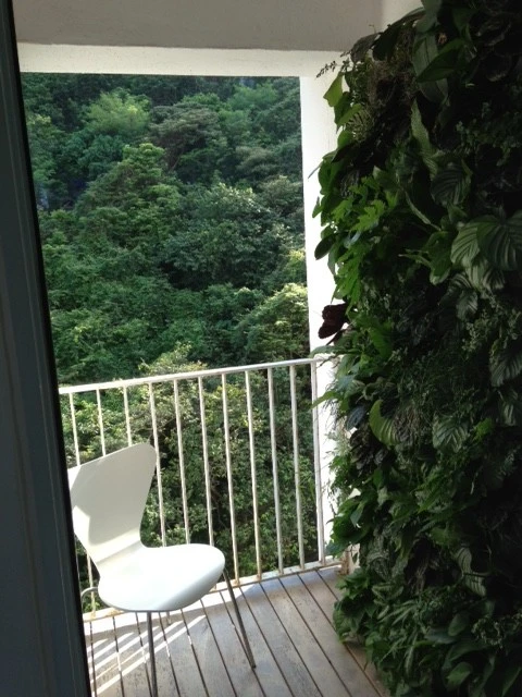 VERTICAL GARDENS by Matthew Hannan Design - Photo 2