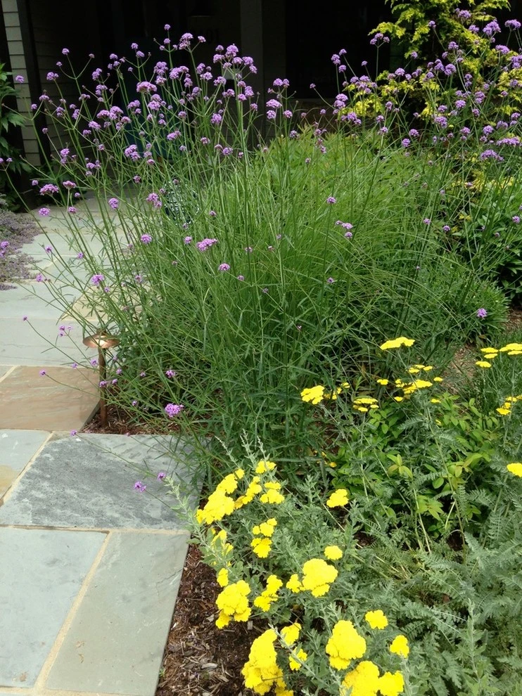 Matthew Hannan Design - Photo 5