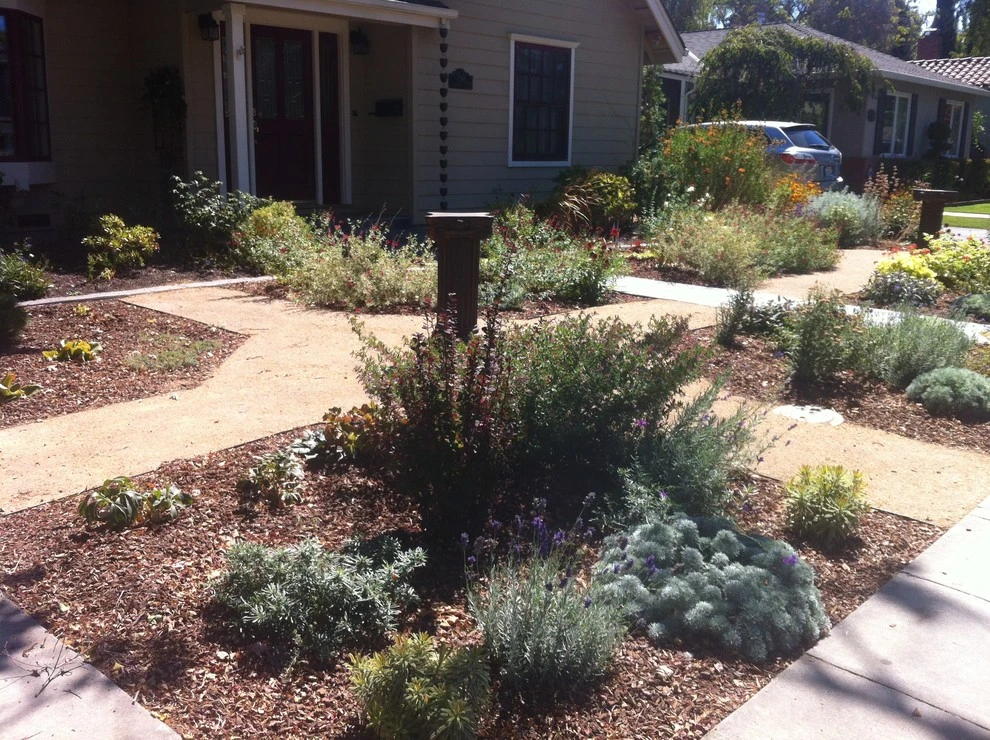 Formal Garden with low water plants by Hortus Design Sustainable Landscapes - Photo 34