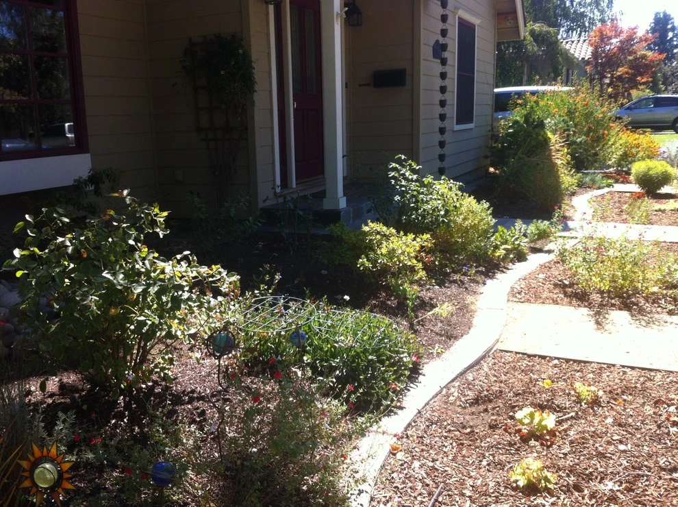 Formal Garden with low water plants by Hortus Design Sustainable Landscapes - Photo 10