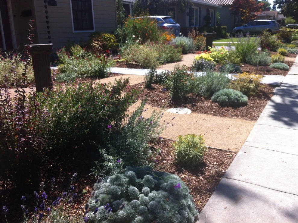 Formal Garden with low water plants by Hortus Design Sustainable Landscapes - Photo 9