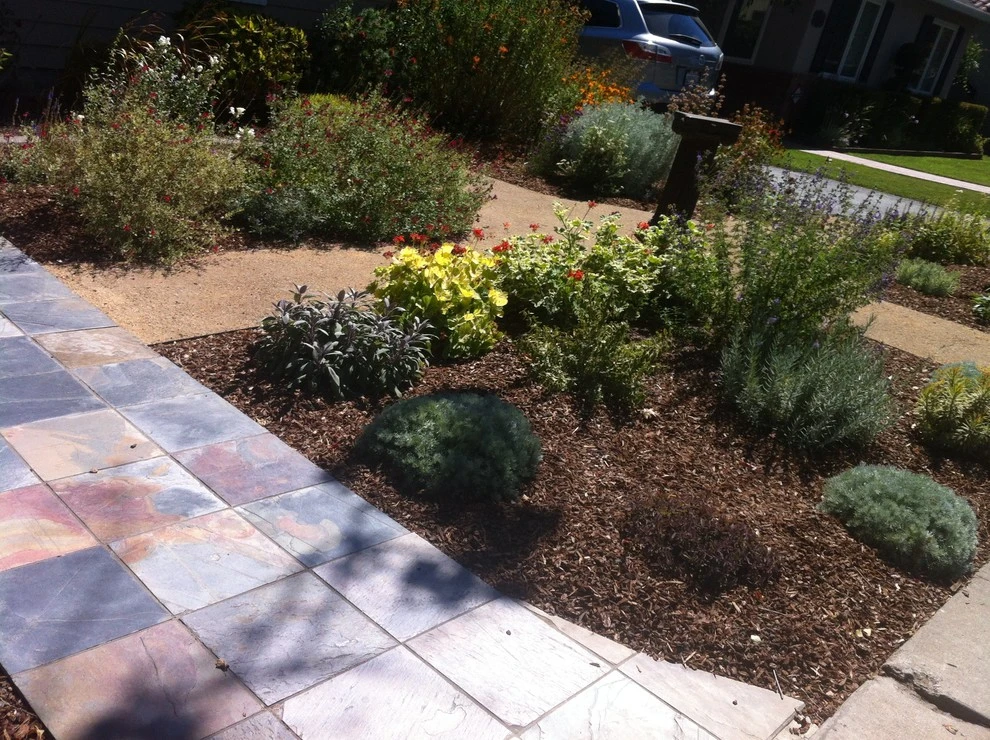 Formal Garden with low water plants by Hortus Design Sustainable Landscapes - Photo 17