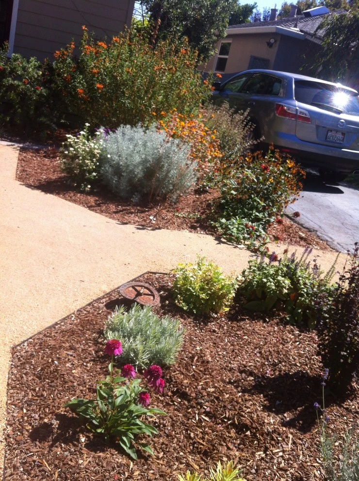 Formal Garden with low water plants by Hortus Design Sustainable Landscapes - Photo 24